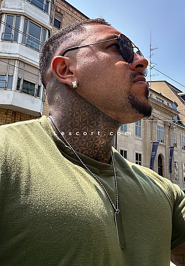 PITBULL MUSCLE - Boys escort in Zurich