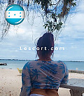 Alejandra Velasquez - Girl Escort in Zürich