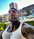 PITBULL MUSCLE - Boys escort in Zurich