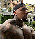 PITBULL MUSCLE - Boys escort in Zurich