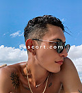 Netto Brasil - Boys Escort in Locarno
